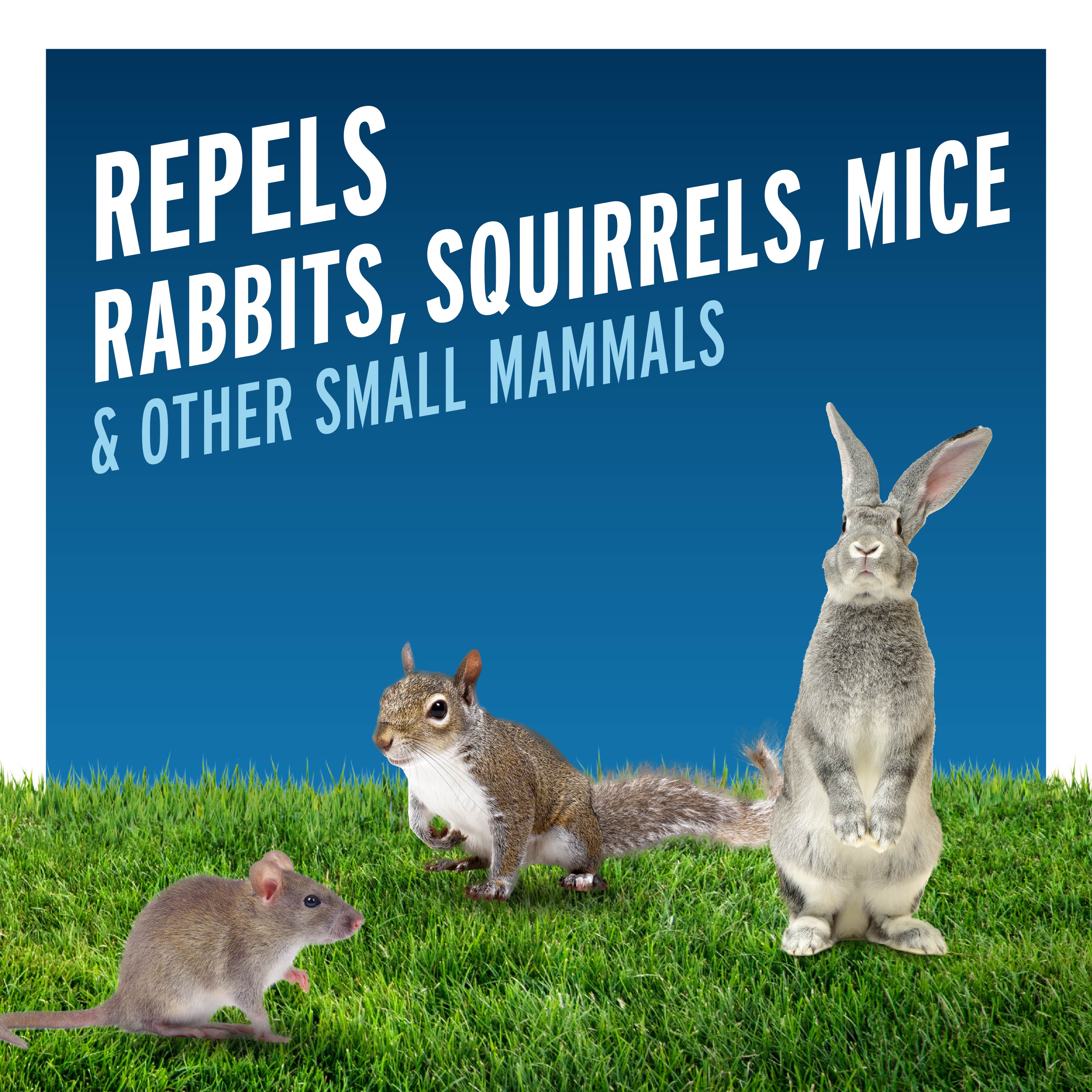 repels rabbits, squirrels, mice and other small mammals